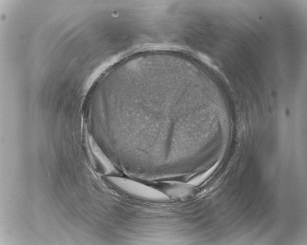 X0000052571221200507291958