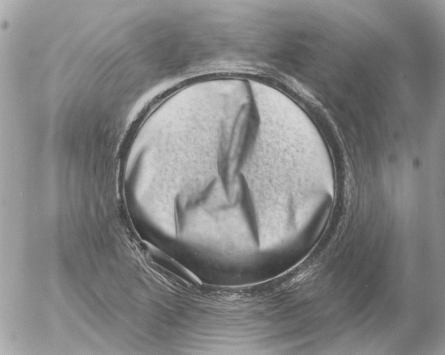 X0000052571222200507291958