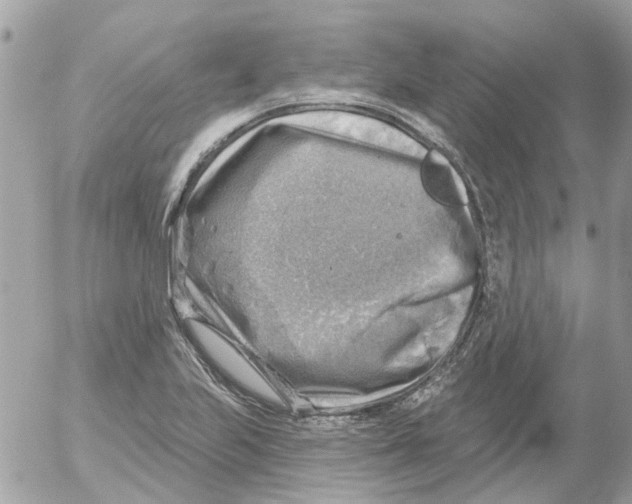 X0000052571223200507291958