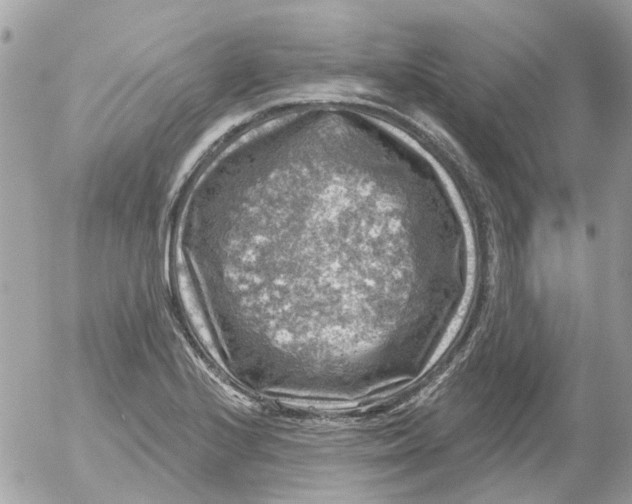 X0000052571224200507291958