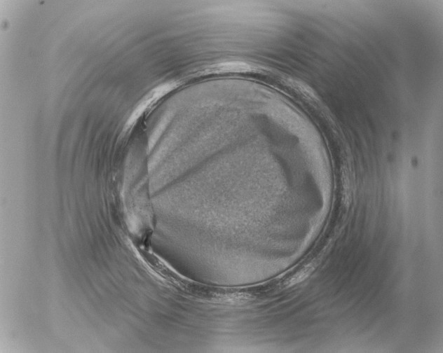 X0000052571225200507291958