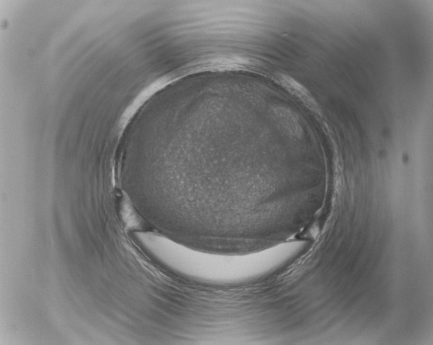 X0000052571226200507291958