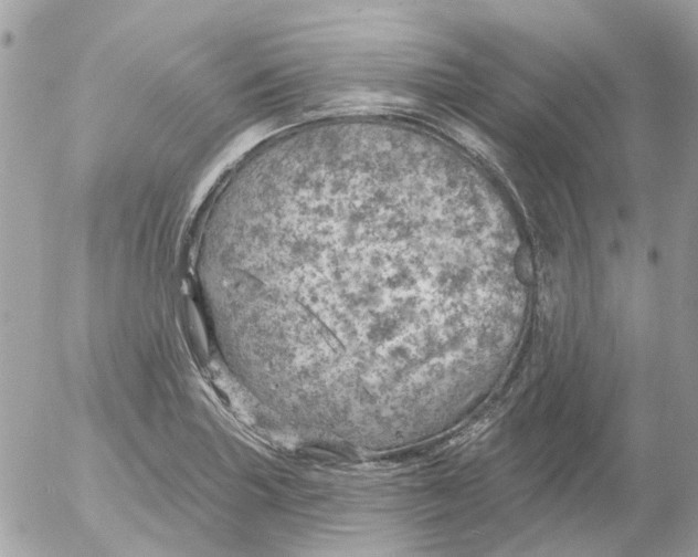 X0000052571227200507291958