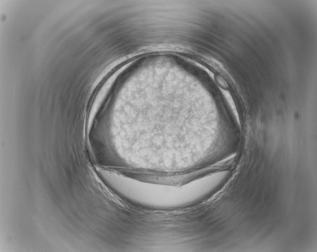 X0000052571228200507291958