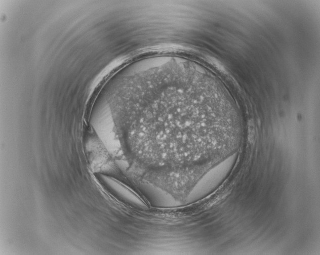 X0000052571229200507291958