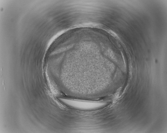 X0000052571230200507291958