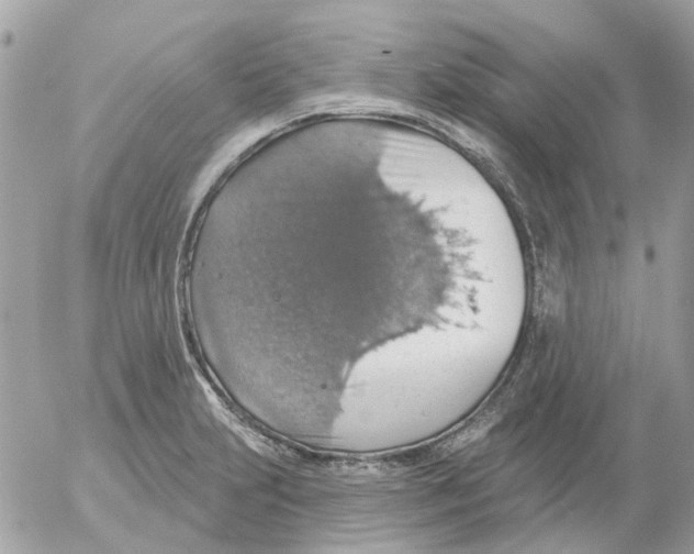 X0000052571231200507291958