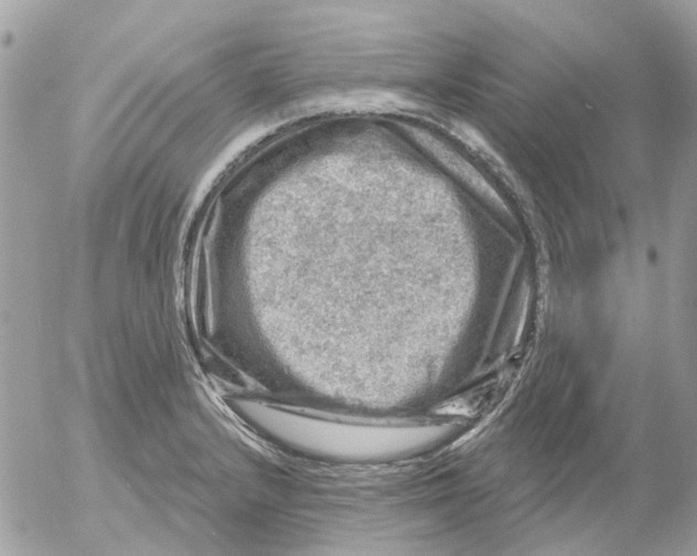 X0000052571232200507291958