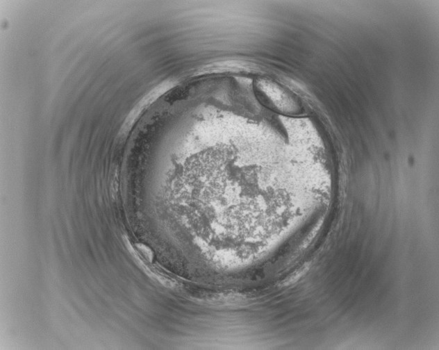 X0000052571233200507291958