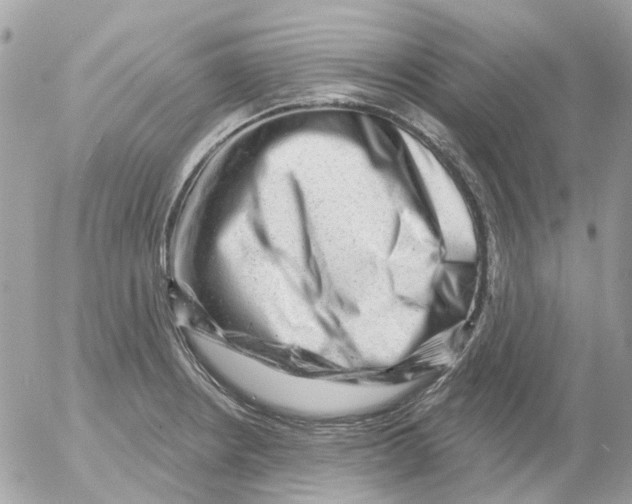 X0000052571234200507291958