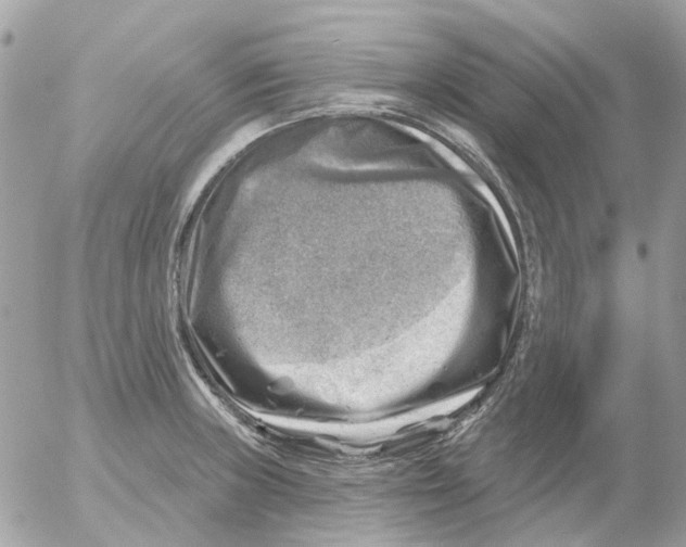 X0000052571235200507291958