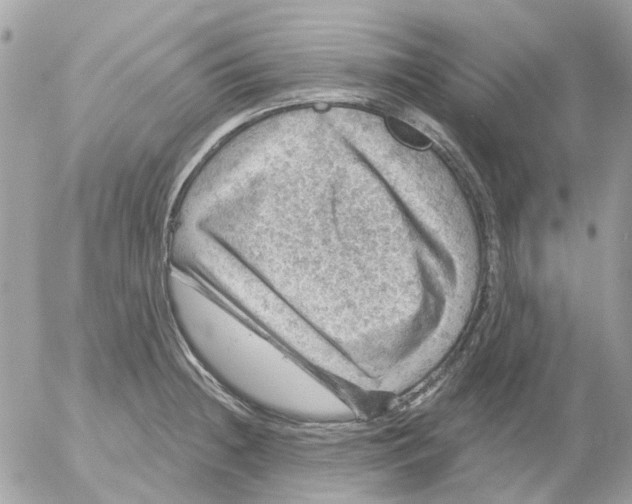 X0000052571236200507291958