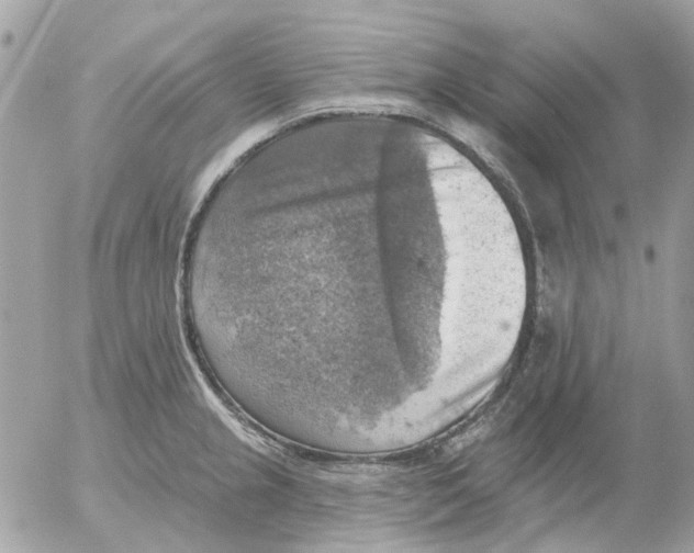 X0000052571237200507291958