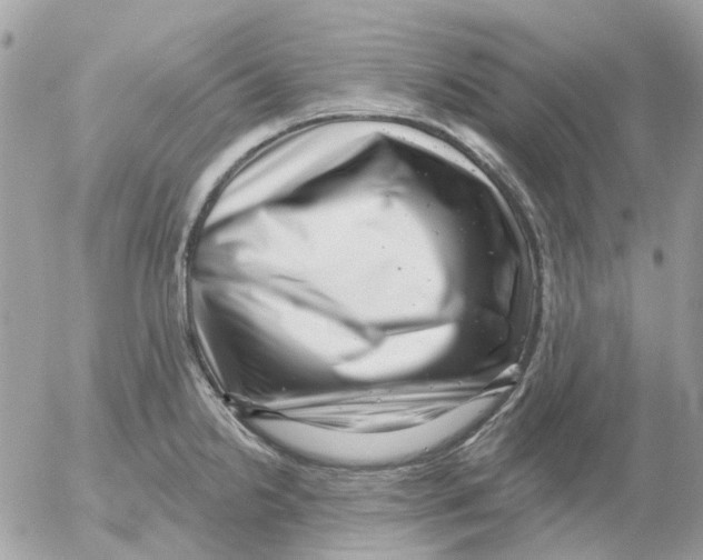 X0000052571238200507291958