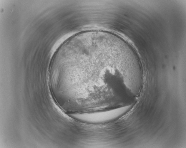 X0000052571239200507291958