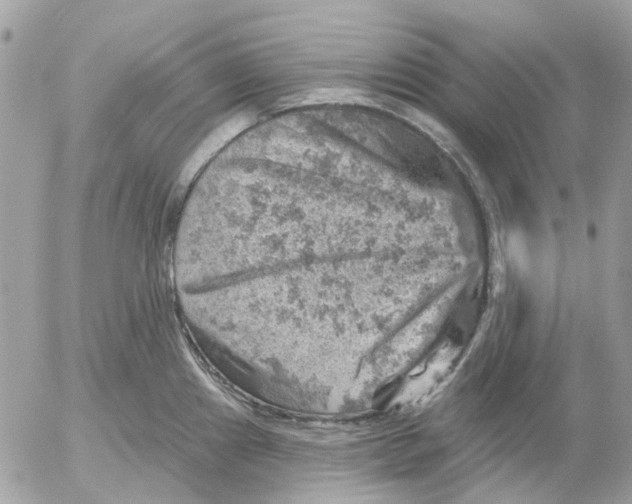 X0000052571241200507291958