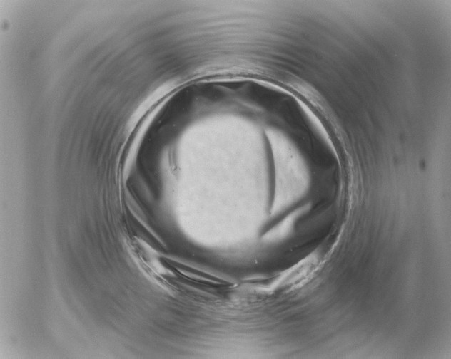 X0000052571242200507291958