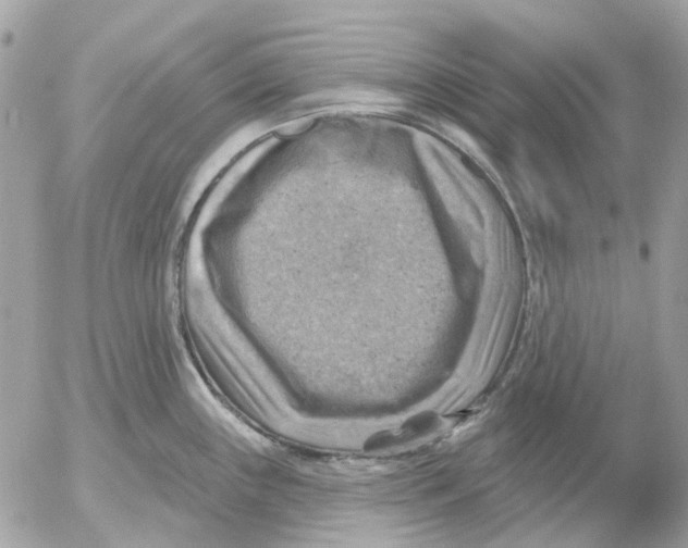 X0000052571243200507291958