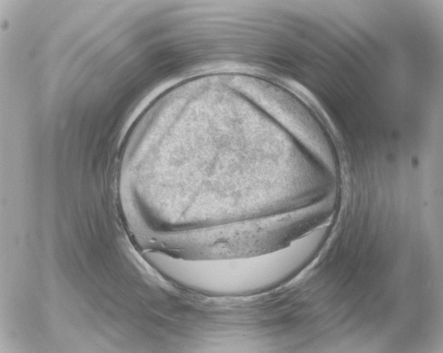 X0000052571244200507291958