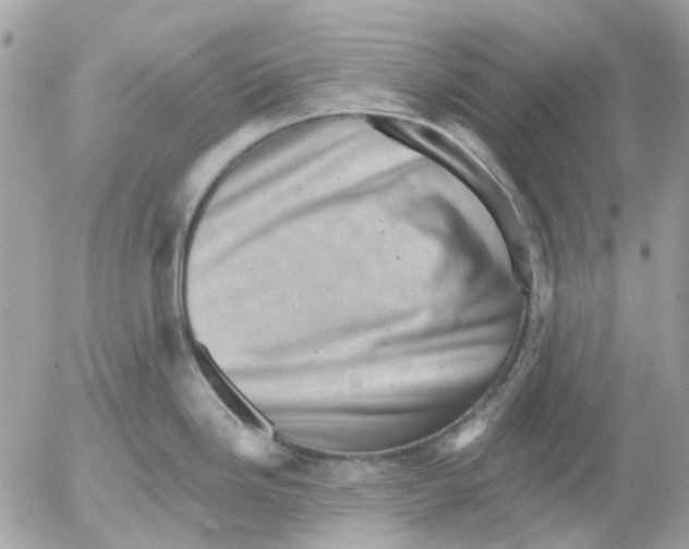 X0000052571246200507291958