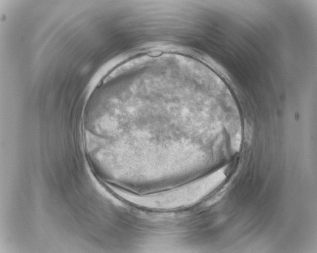 X0000052571247200507291958