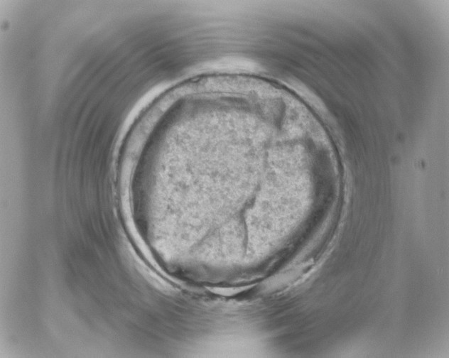 X0000052571248200507291958