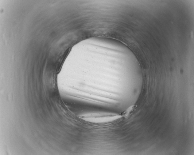 X0000052571250200507291957