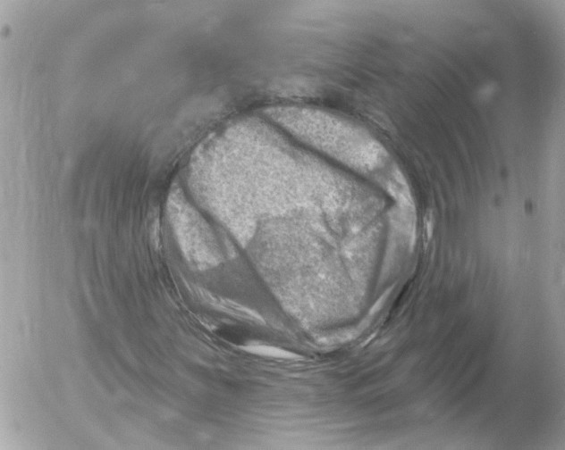 X0000052571251200507291957