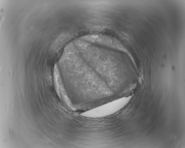 X0000052571252200507291957