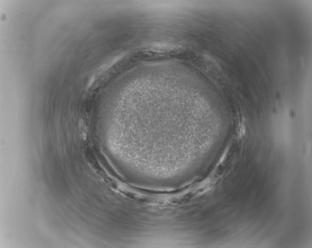 X0000052571253200507291957