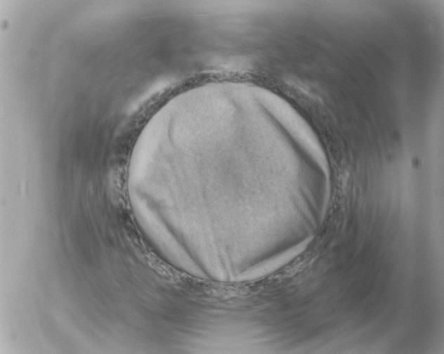 X0000052571254200507291957