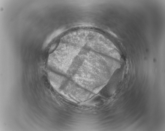 X0000052571255200507291957