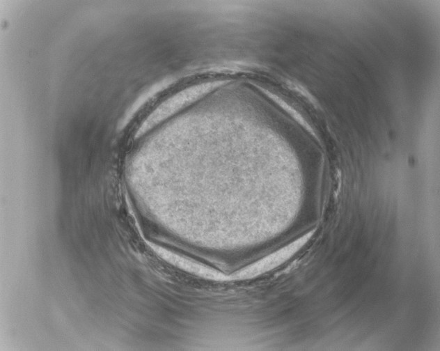 X0000052571256200507291957