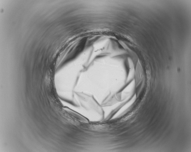 X0000052571257200507291957