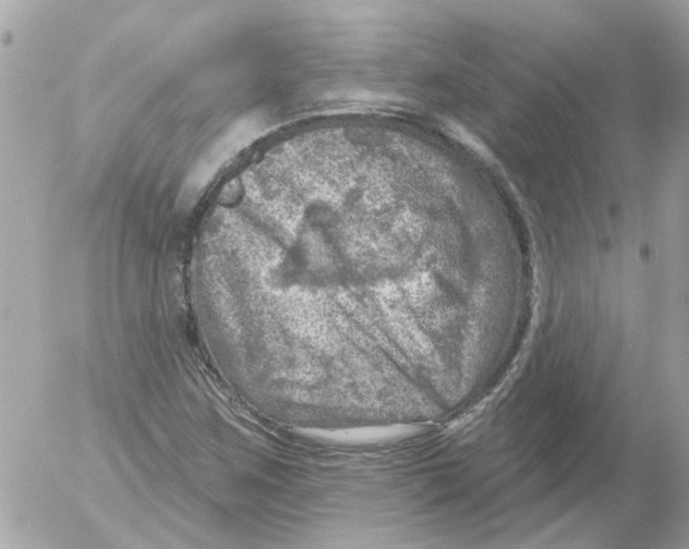 X0000052571259200507291957