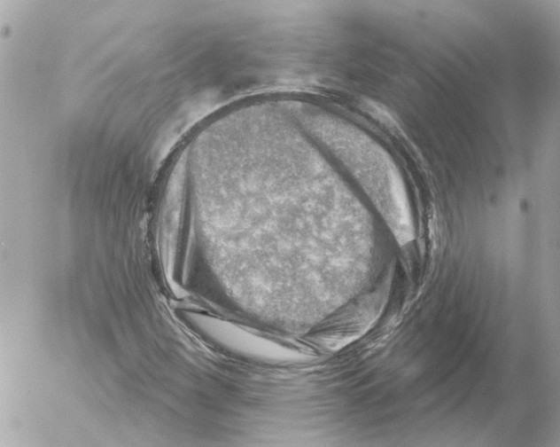 X0000052571260200507291957