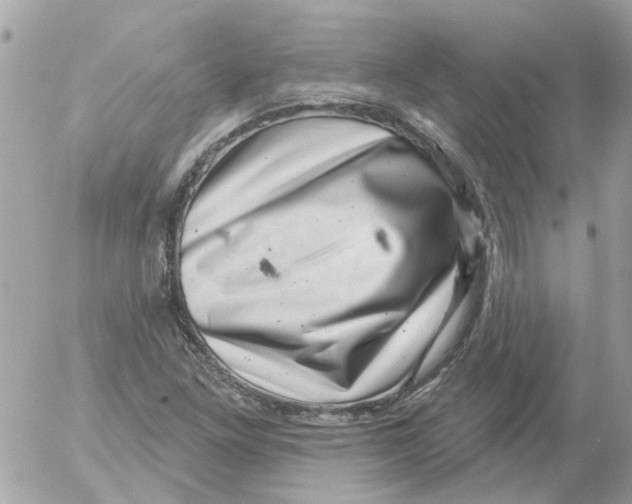 X0000052571261200507291957