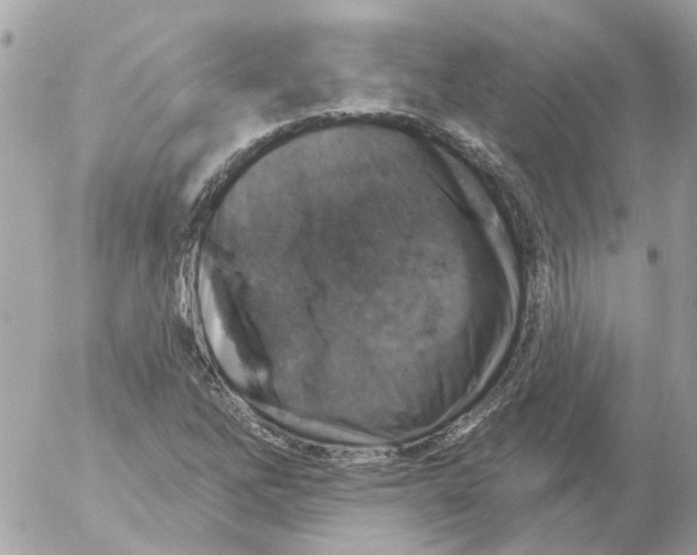 X0000052571262200507291957