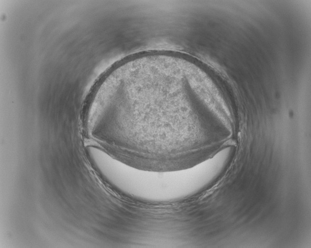 X0000052571264200507291957