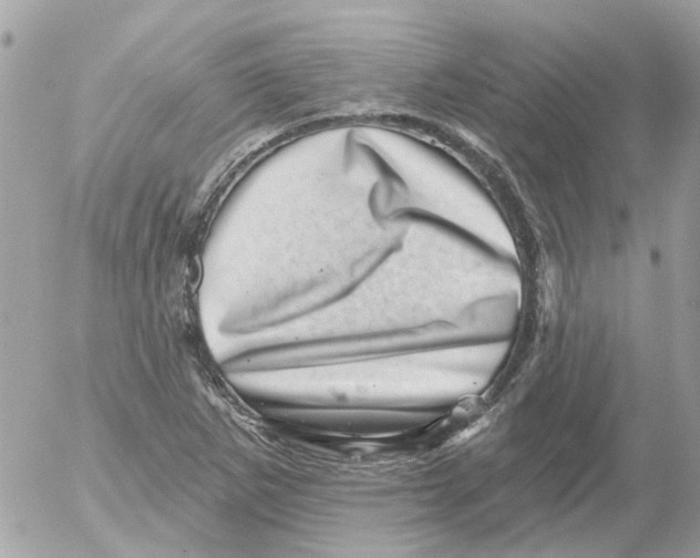 X0000052571265200507291957