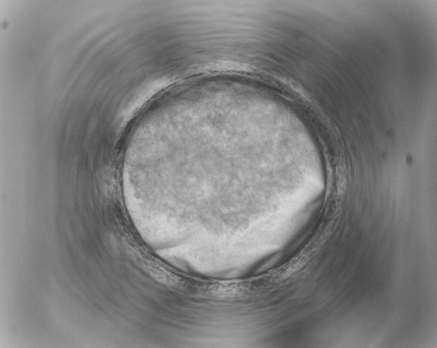 X0000052571266200507291957