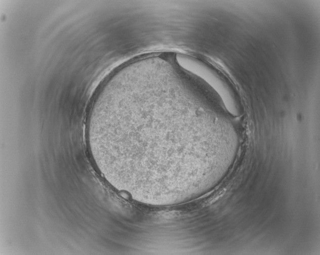 X0000052571268200507291957