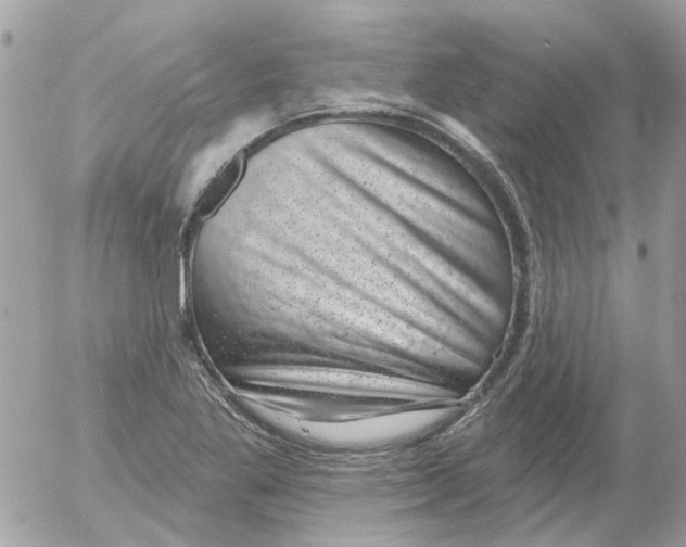 X0000052571269200507291957