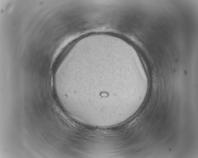 X0000052571270200507291957