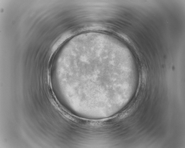 X0000052571274200507291957