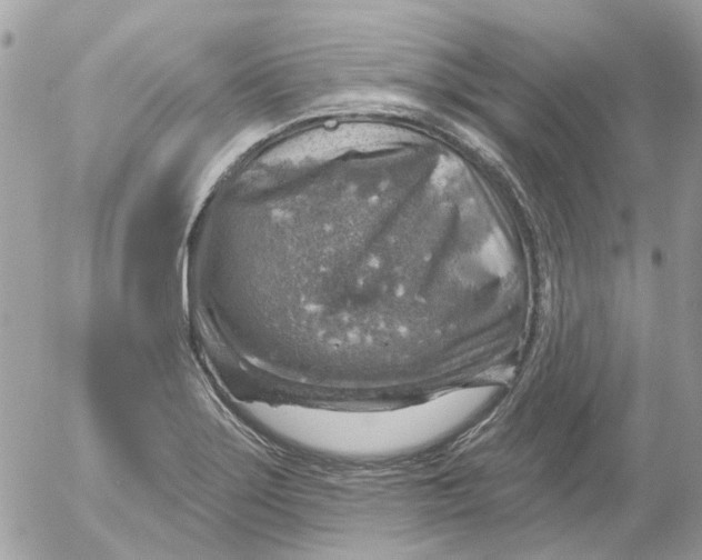 X0000052571275200507291957