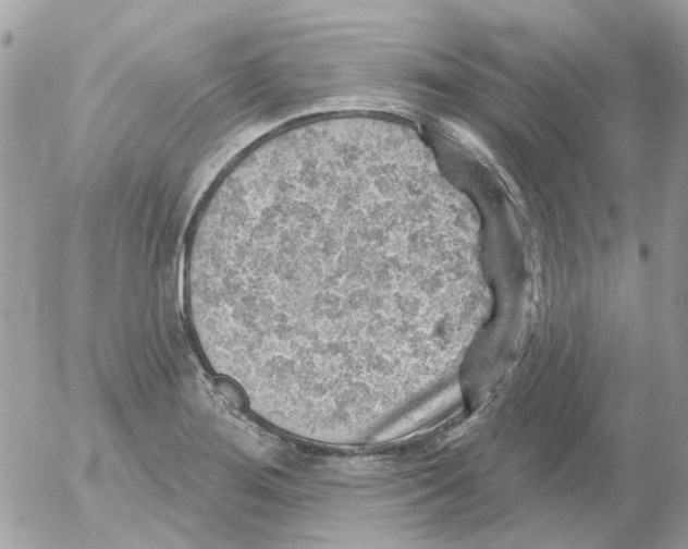 X0000052571276200507291957