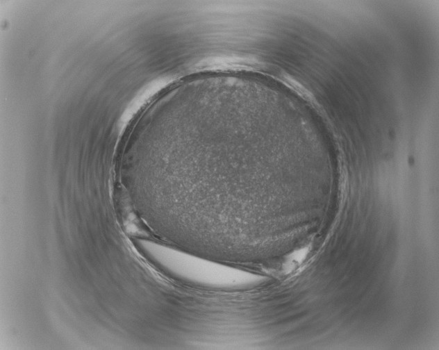 X0000052571277200507291957