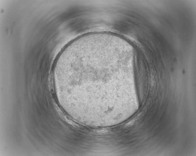 X0000052571278200507291957