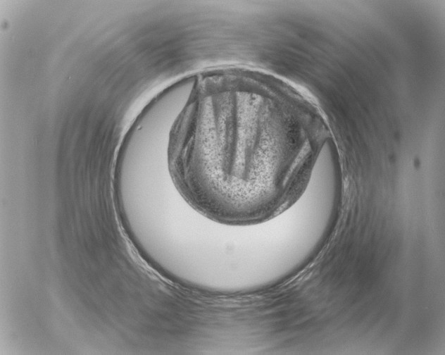 X0000052571279200507291957